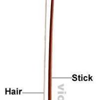 Victoria Fine Photo 9