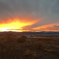 Christine Houghton Photo 32