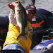 Bobby Lane Photo 6