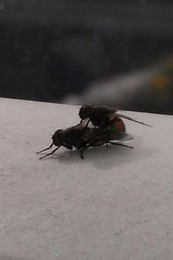 Rodney Swanson Photo 27