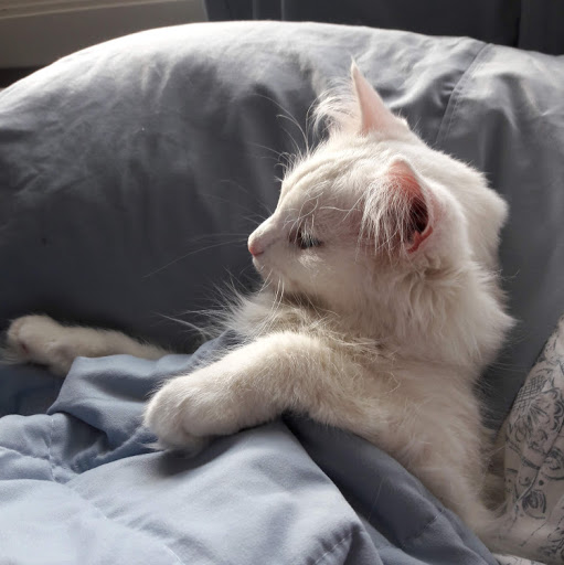 Stacy Woodward Photo 30