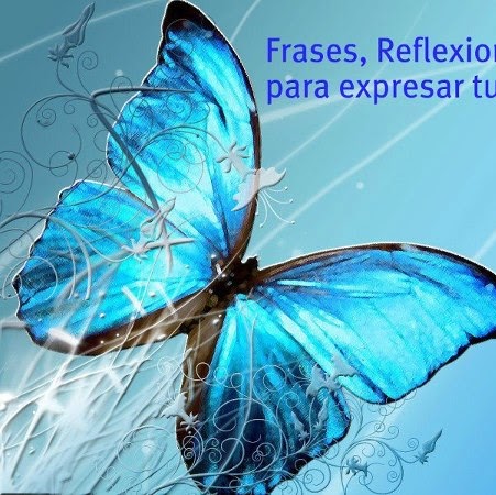 Nancy Arredondo Photo 10