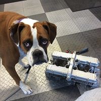 Tim Gustafson Photo 16