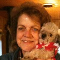 Sally Robertson Photo 14 Sally Robertson Photo 14