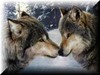 Sandra Kidd Photo 11