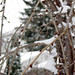 Ann Branch Photo 7