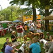 Leslie Grove Photo 6