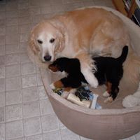 Robin Hahn Photo 10
