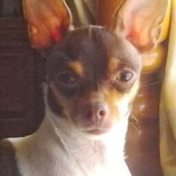 Brenda Goode Photo 5