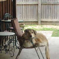 Dawn Newman Photo 13