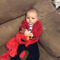 Jeffery Small Photo 9