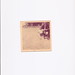 Carlos Toomer Photo 7