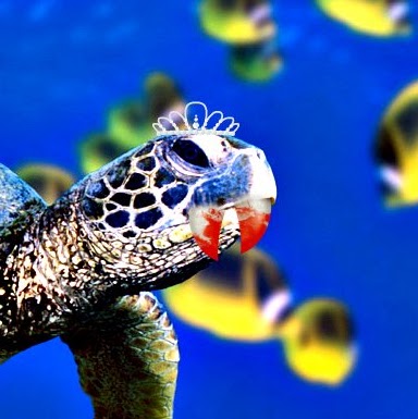 Stefanie Reed Photo 6