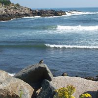 Susan Vanderpool Photo 6