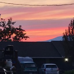 Julie Scott Photo 21