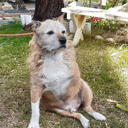 Dean Fitzgerald Photo 8