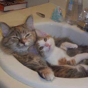 Kate Johnson Photo 41