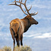 Stephen Harden Photo 37