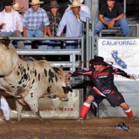 Paul Sanders Photo 45