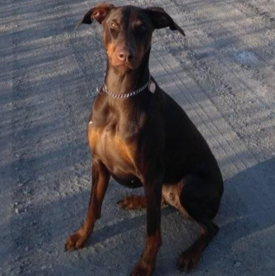 Sean Mcneill Photo 24