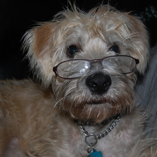 Tina Reeves Photo 28