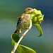 Dan Finch Photo 6