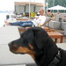Patsy Summers Photo 20