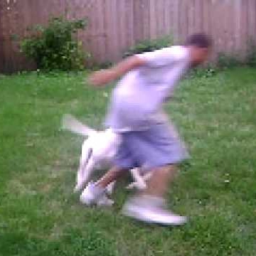 Willie Roberts Photo 39