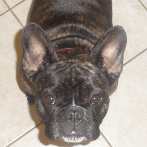 Linda Gould Photo 38