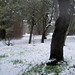 Sue Russ Photo 34
