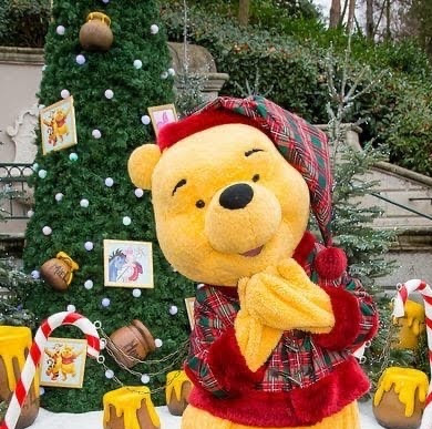 Michelle Meissner Photo 12