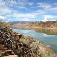 Katherine Phelps Photo 22