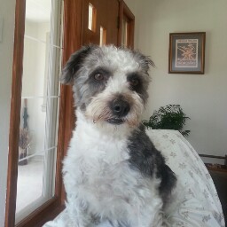 Jenny Ferris Photo 13