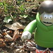 James Wiggs Photo 15