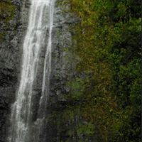 Robert Yeakel Photo 16