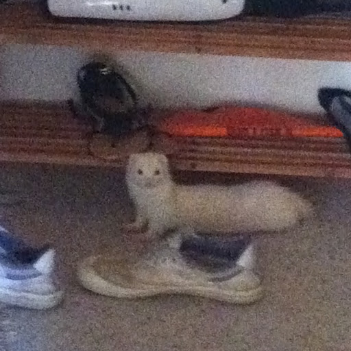 Sarah Bolton Photo 32