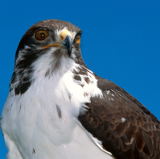 Rodolfo Velazquez Photo 26