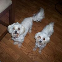 Connie Mccann Photo 22