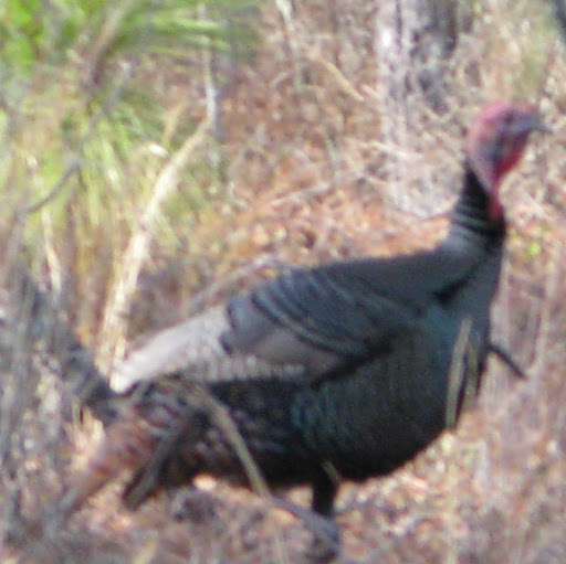 Gilbert Duran Photo 30