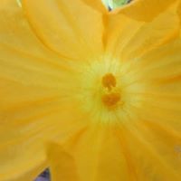 Darlene Reed Photo 16 Darlene Reed Photo 16