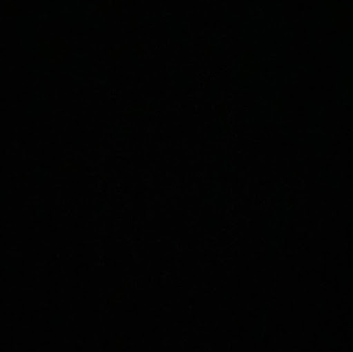 Donna Meadows Photo 31