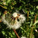 Sherry Lay Photo 33
