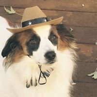 Shirley Bloom Photo 9