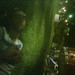 Steven Cascio Photo 13
