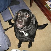 Molly Purcell Photo 21