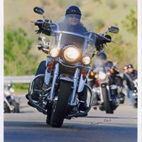 Cindy Boyer Photo 11