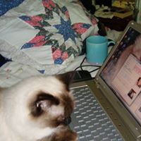 Rosemarie Keating Photo 12