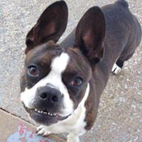 Aimee Pickett Photo 5