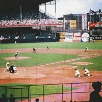 James Gorman Photo 33