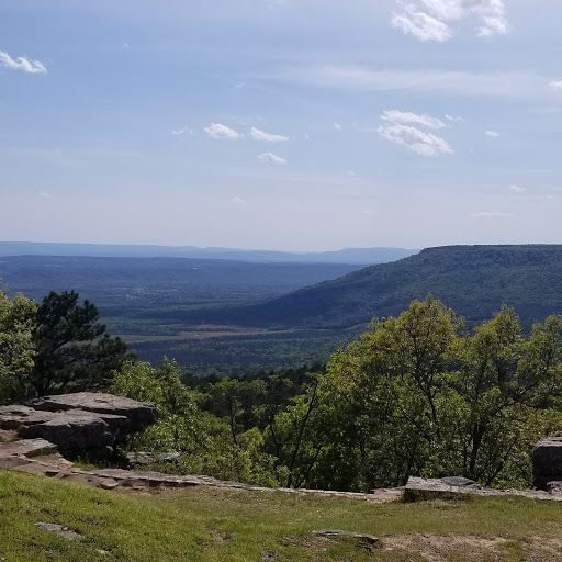 Lyle Patterson Photo 5